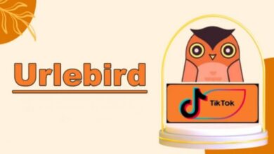 Urlebird – Features of TikTok Anonymous User Search